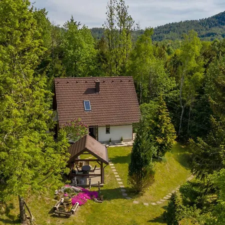 In - Gorski Kotar 43959 Dom wakacyjny Delnice