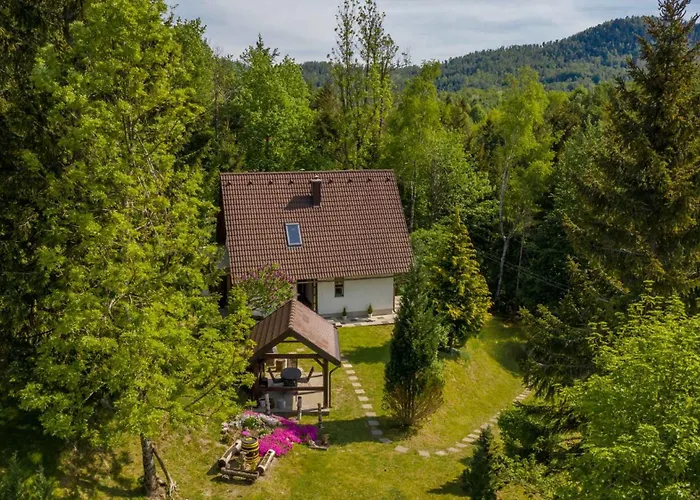 In - Gorski Kotar 43959 Σπίτι διακοπών Delnice